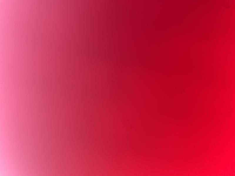 出品者名-写真-1